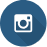 Instragram icon